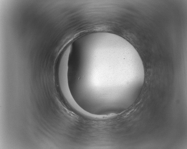 X0000064730194200603031650