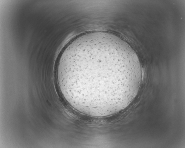 X0000064730195200603031650