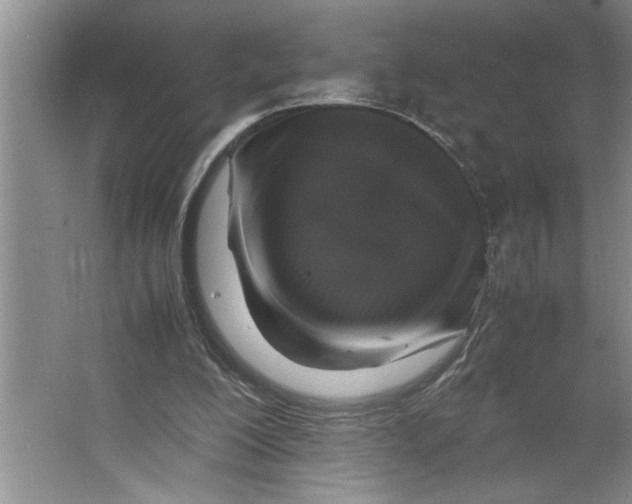 X0000064730200200603031650