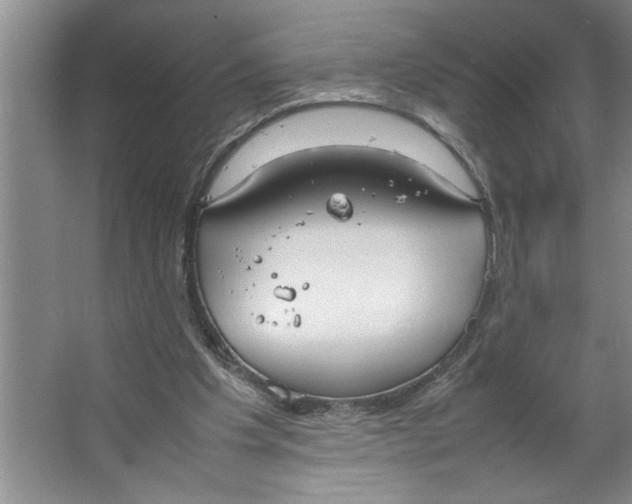 X0000064730201200603031650