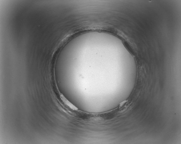 X0000064730203200603031650