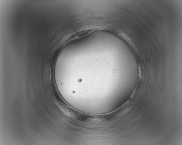 X0000064730205200603031650