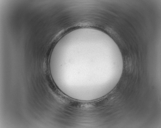 X0000064730208200603031650