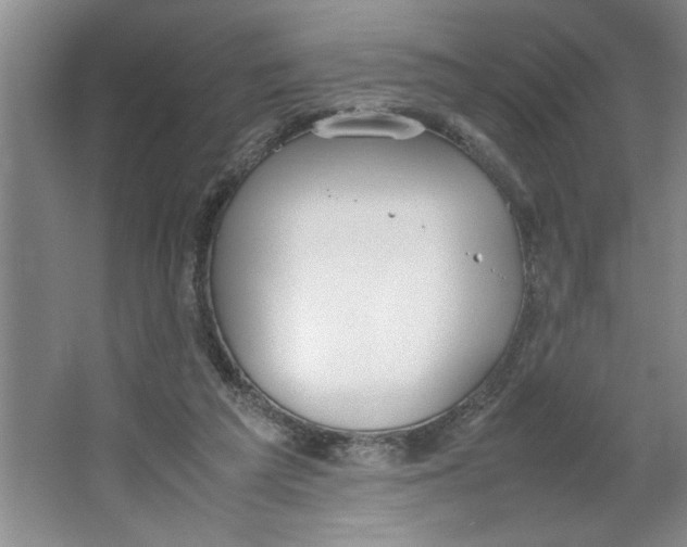 X0000064730209200603031650