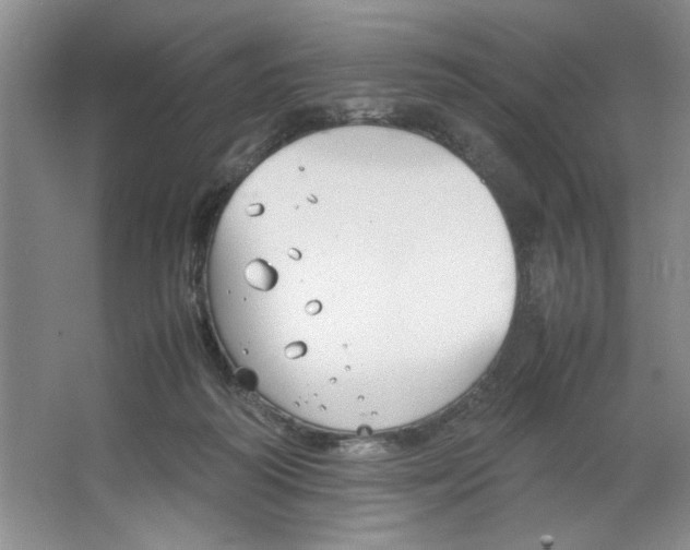 X0000064730218200603031650