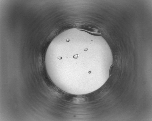 X0000064730220200603031650