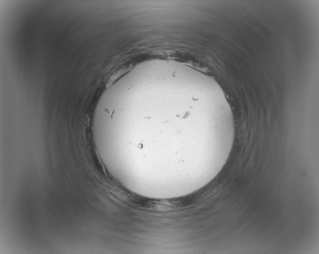 X0000064730229200603031650