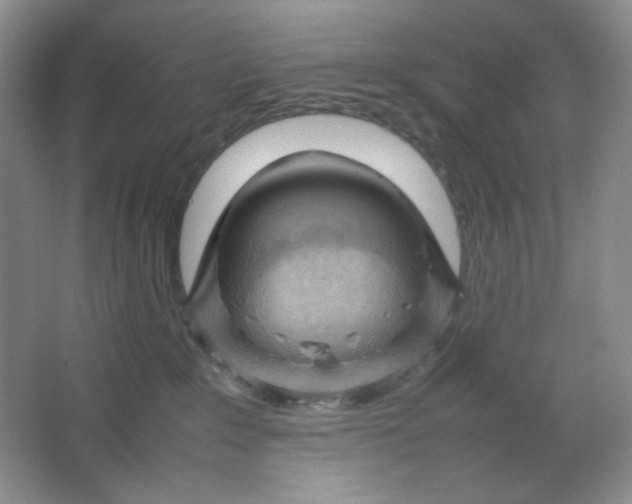 X0000064730235200603031650