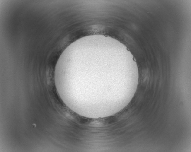 X0000064730236200603031650