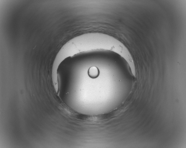 X0000064730237200603031649