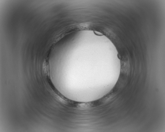 X0000064730238200603031649