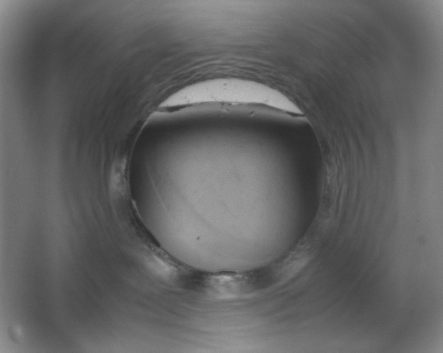 X0000064730239200603031649