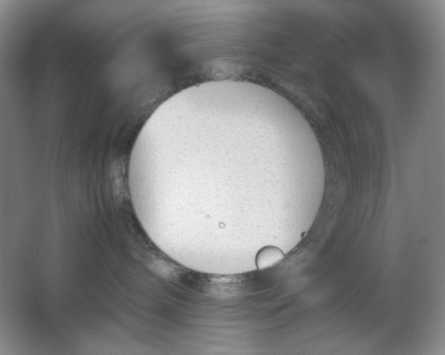 X0000064730240200603031649