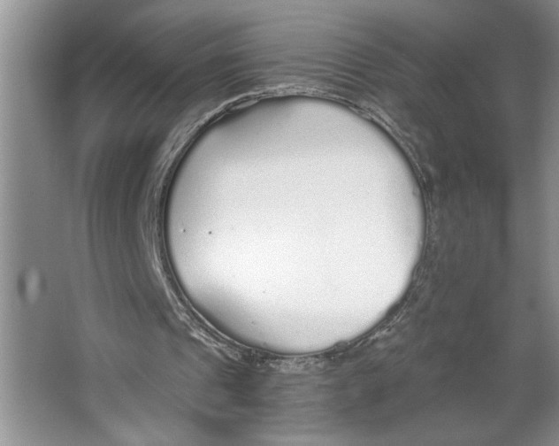 X0000064730241200603031649