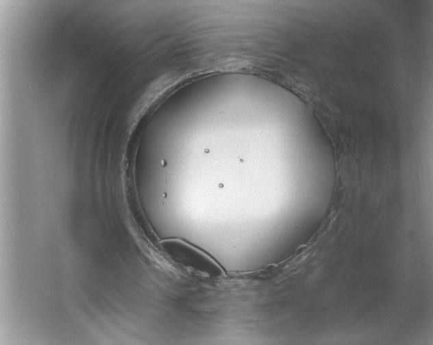 X0000064730242200603031649