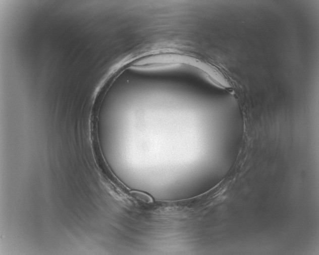 X0000064730244200603031649