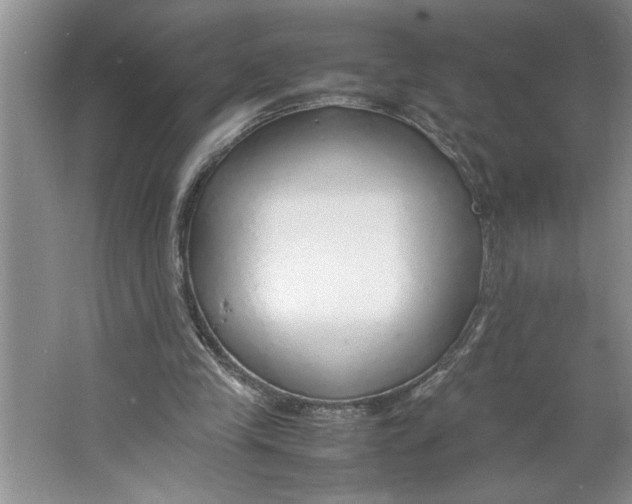 X0000064730245200603031649