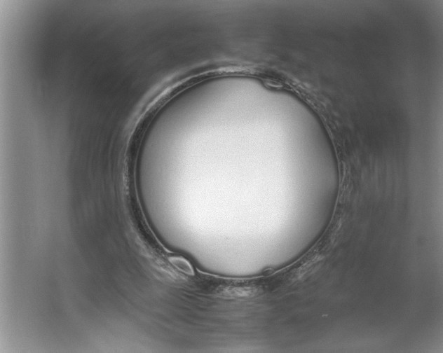 X0000064730247200603031649