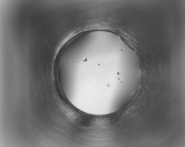 X0000064730248200603031649