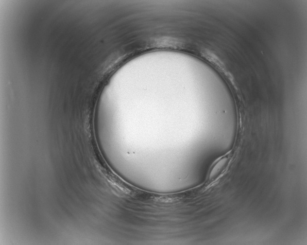 X0000064730249200603031649