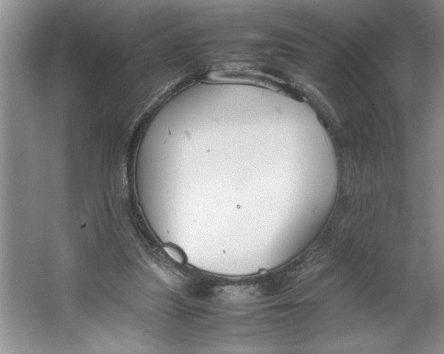 X0000064730251200603031649