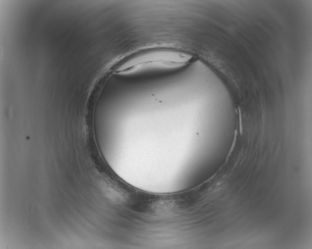 X0000064730252200603031649