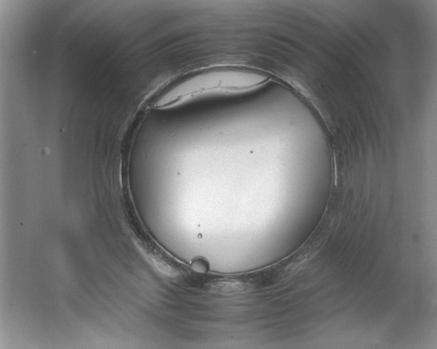 X0000064730253200603031649