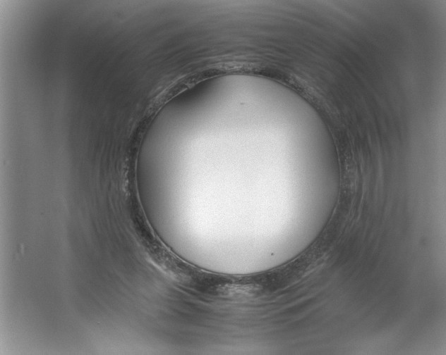 X0000064730255200603031649