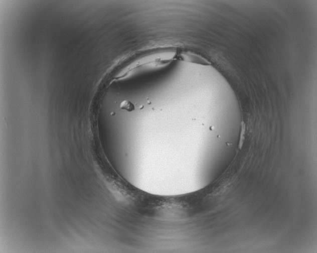 X0000064730256200603031649