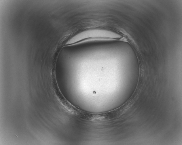 X0000064730257200603031649