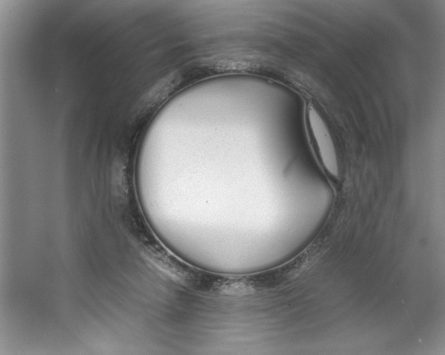 X0000064730258200603031649