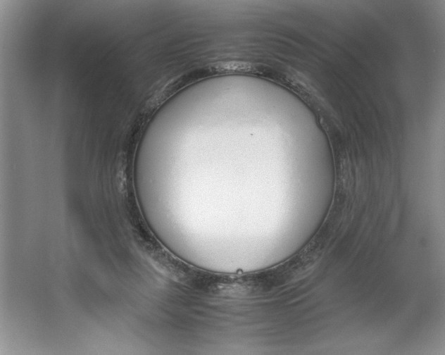 X0000064730259200603031649