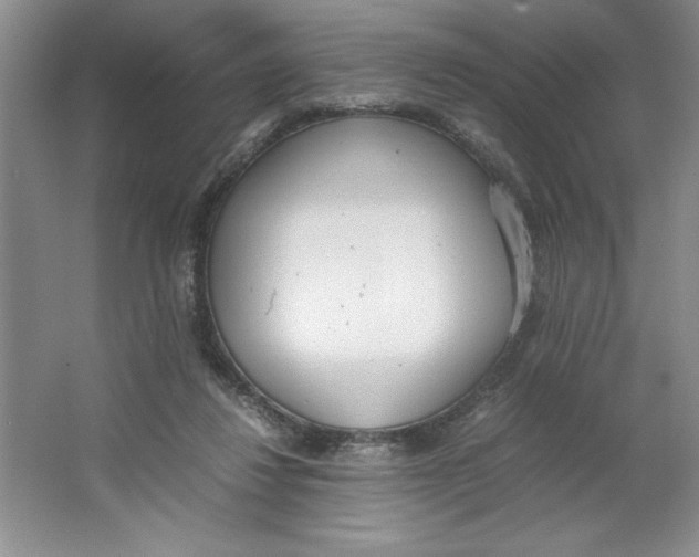 X0000064730260200603031649