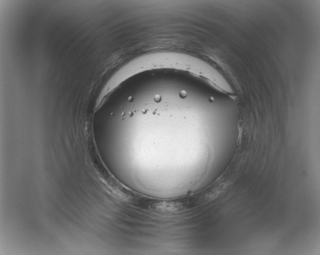 X0000064730261200603031649