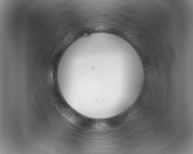 X0000064730262200603031649