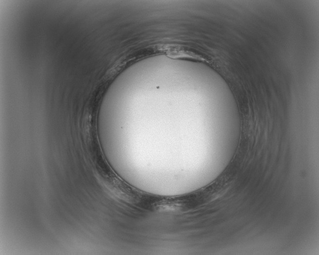 X0000064730263200603031649