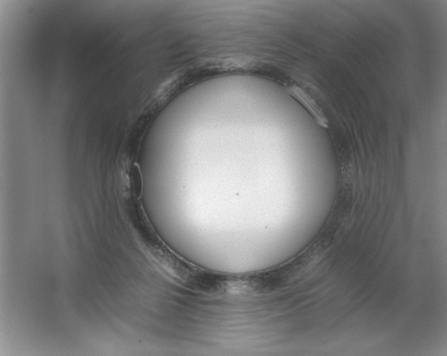 X0000064730264200603031649