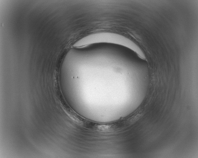 X0000064730265200603031649