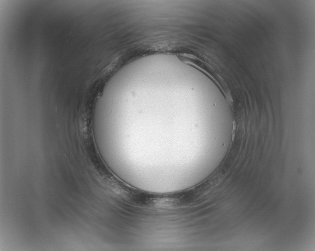 X0000064730268200603031649