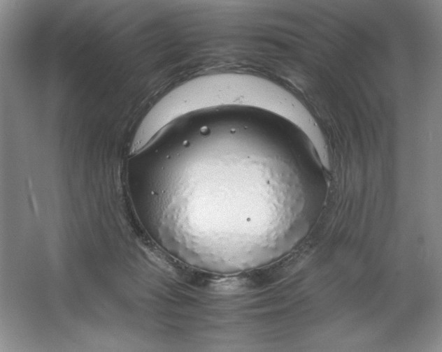 X0000064730269200603031649