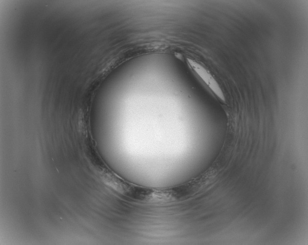 X0000064730270200603031649