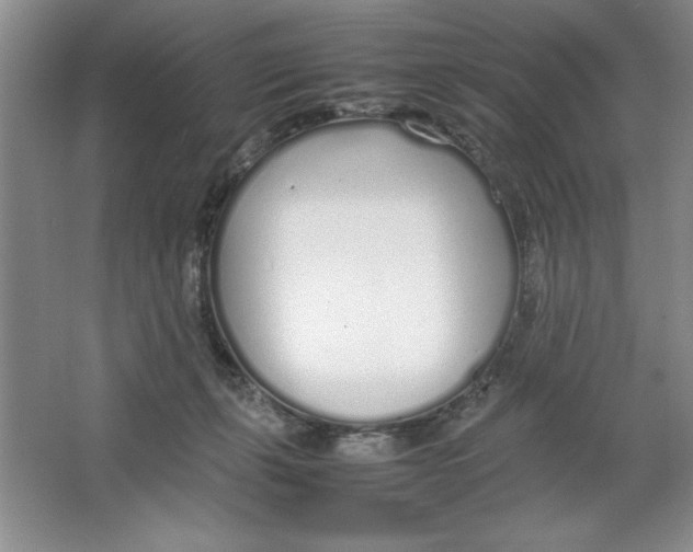 X0000064730271200603031649