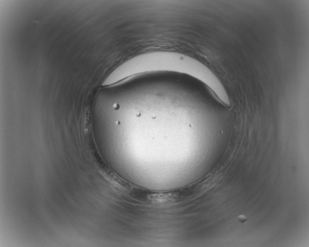 X0000064730273200603031649