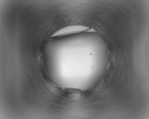 X0000064730276200603031649