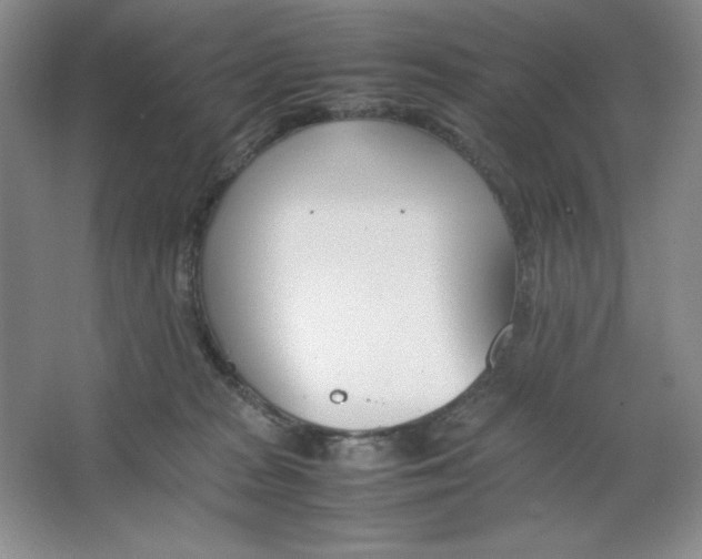 X0000064730277200603031649