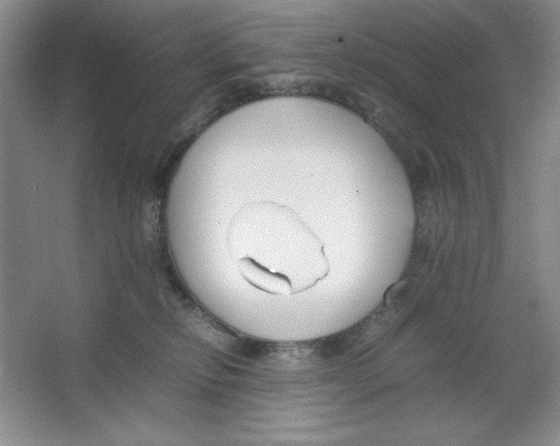 X0000064730278200603031649