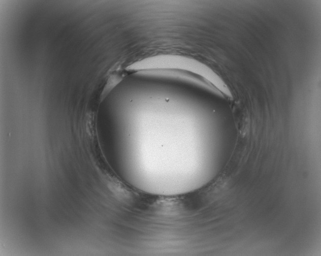 X0000064730280200603031649