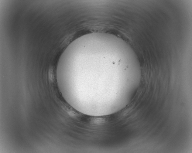 X0000064730287200603031649