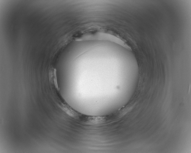 X0000064730288200603031649