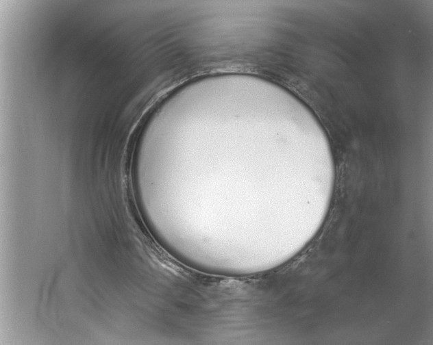 X0000064730290200603031649